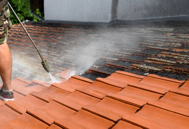 Best Garage Pressure Washing  in Mims, FL