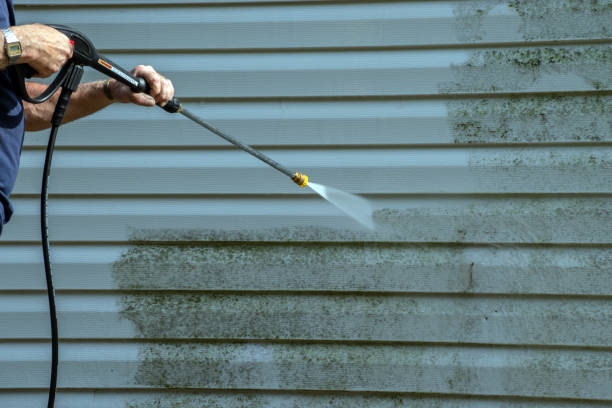 Best Deck Pressure Washing  in Mims, FL