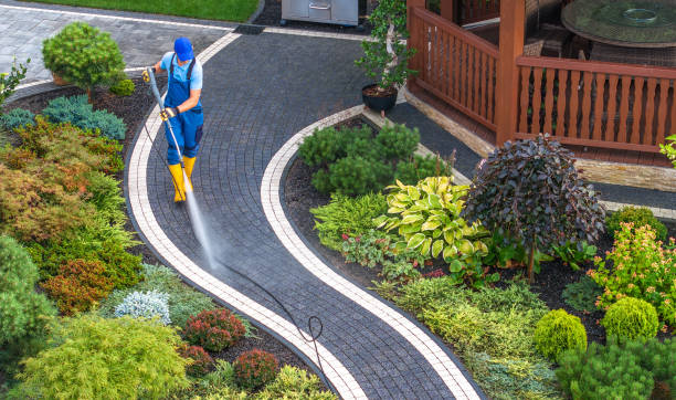 Best Sidewalk Pressure Washing  in Mims, FL